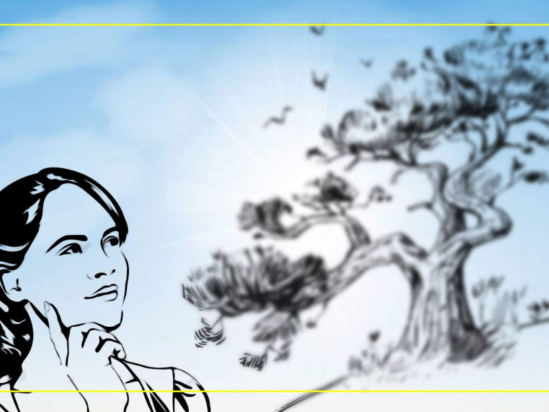 केटीहरू किन रुख चढ्दैनन् ?